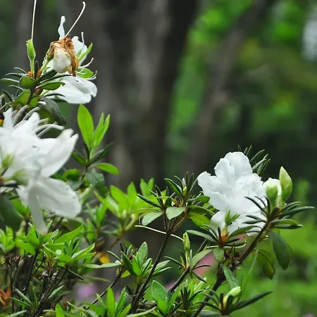 Nature Relax Ella Exterior photo